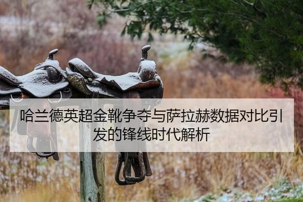 哈兰德英超金靴争夺与萨拉赫数据对比引发的锋线时代解析